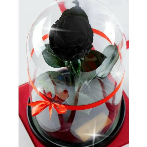 Роза в колбе 