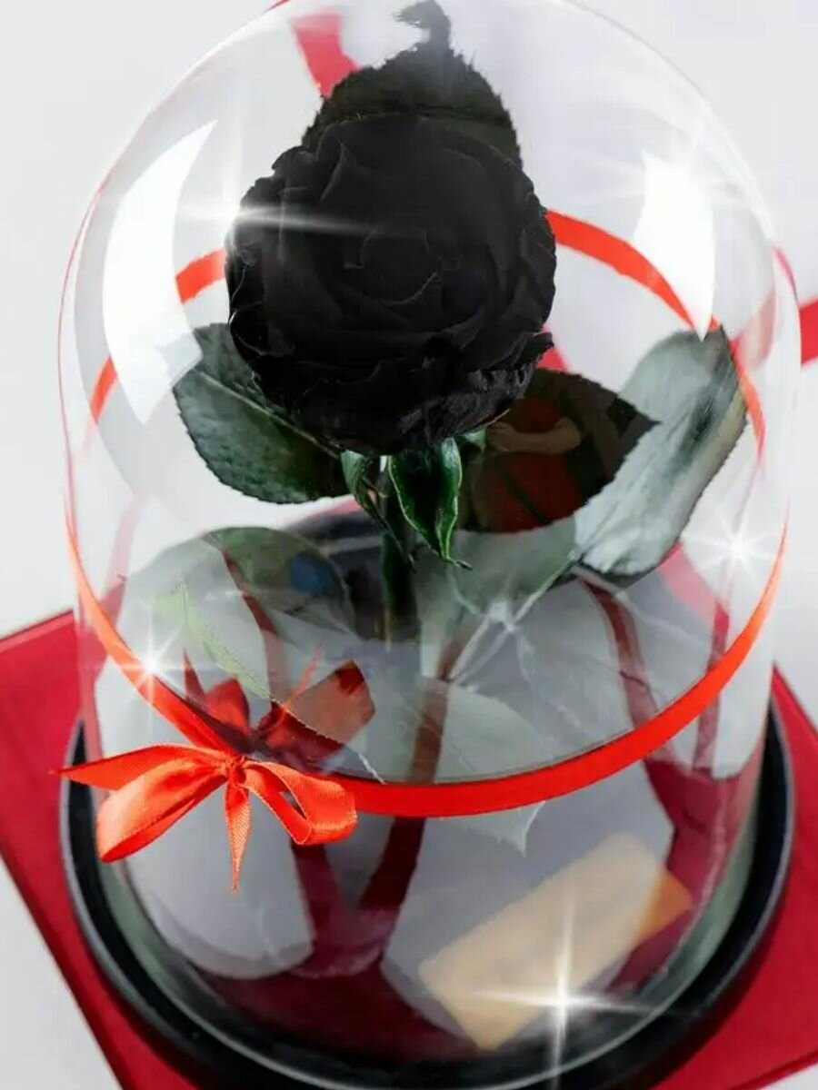 Живая Роза в колбе TheRoseDome Мини 5-6 см, цветок в колбе, вечная роза, подарок, декор для интерьера, цвет: черная