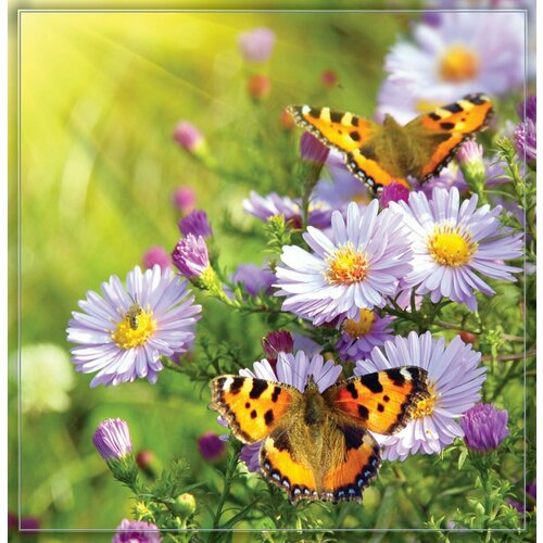 Фотообои бумажные глянцевые Бабочки 196*201 (6 листов) фотообои глянцевые бабочки 196 201