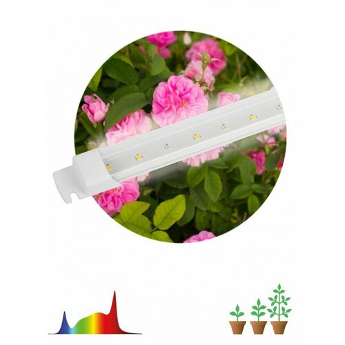 ЭРА Светильник для растений, фитолампа светодиодная линейная ЭРА FITO-10W-Т5-Ra90-Slim полного спектра 10 Вт Т5 Б0057400 (68 шт.) светильник для растений фитолампа светодиодная эра fito 10w т5 ra90 slim полного спектра 10 вт белое свечение