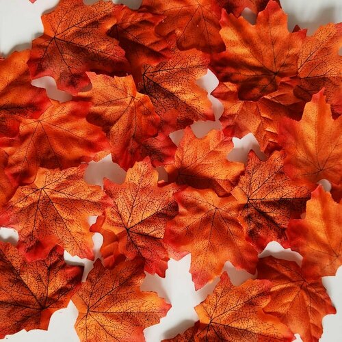 Набор листьев Осень, оранжевые: 100 штук