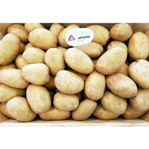 Семенной картофель Аризона 2 кг
