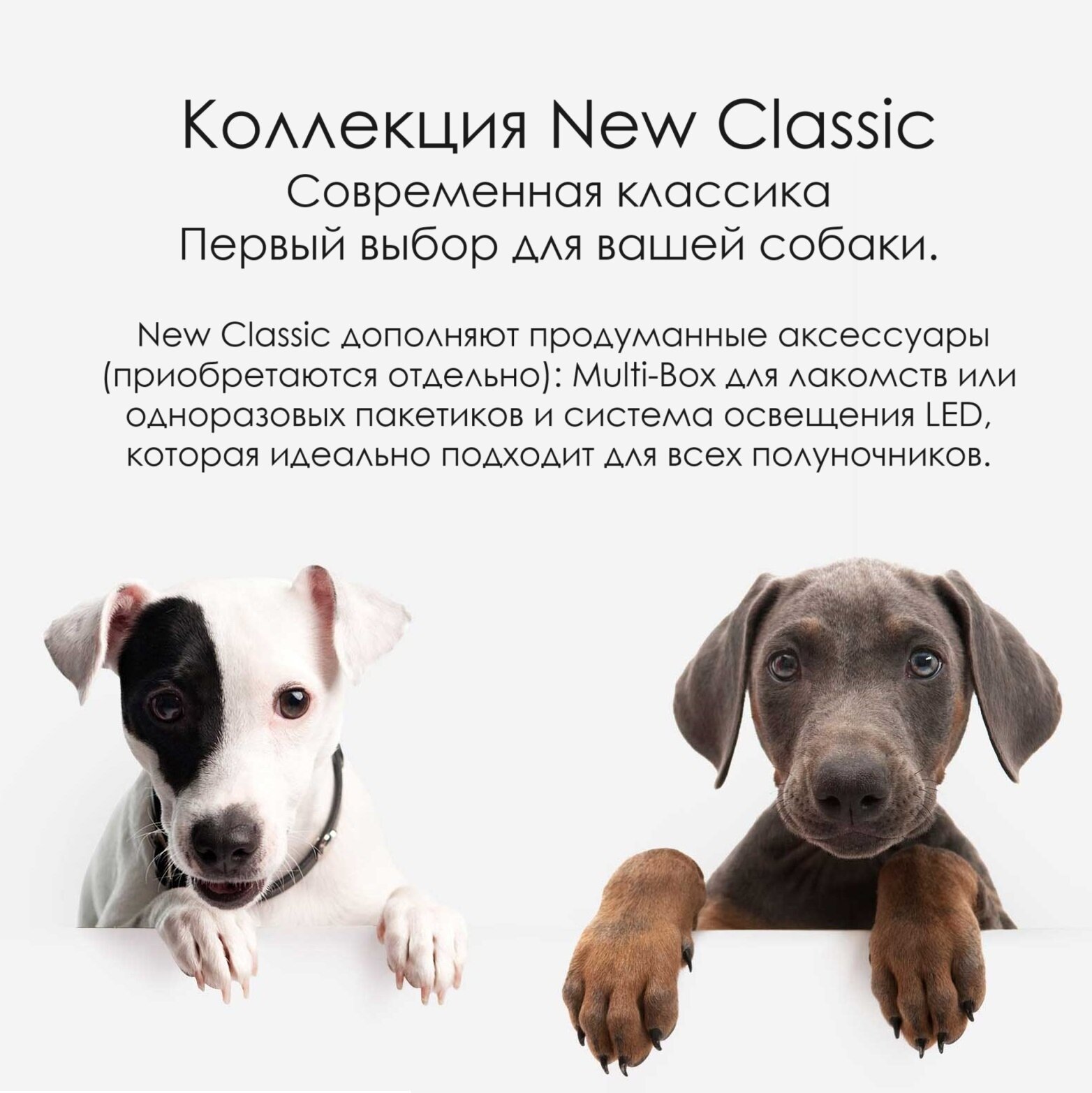 Поводок - рулетка для собак Flexi New Classic S, лента 5м, до 15кг, красная