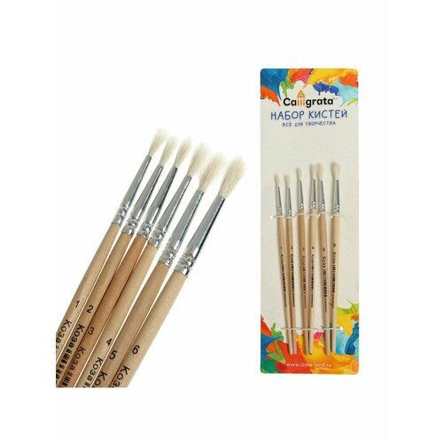 Набор кистей коза круглые 6 штук 1 355₽