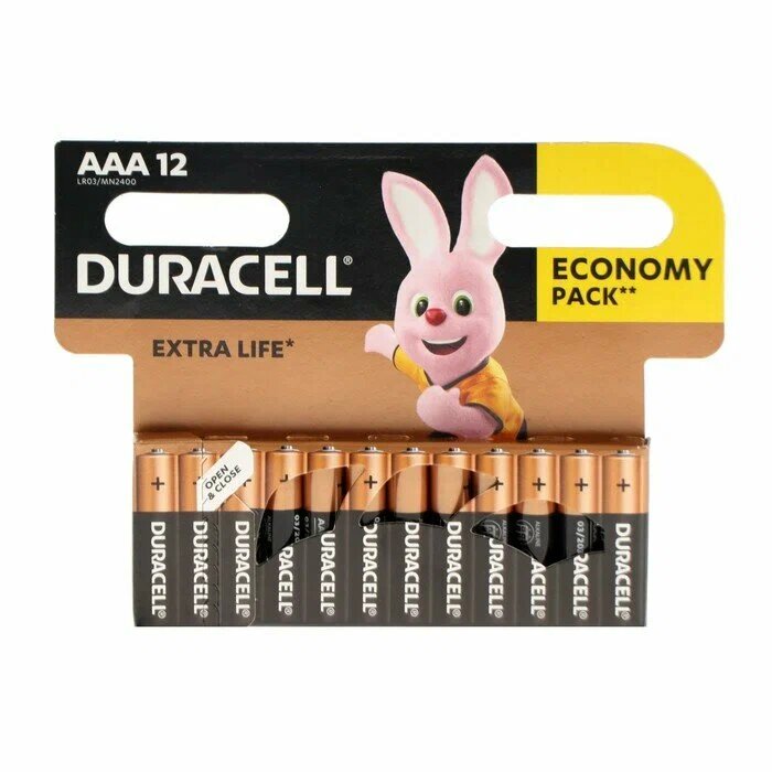 Батарейка Duracell Basic AAA, в упаковке: 12 шт.