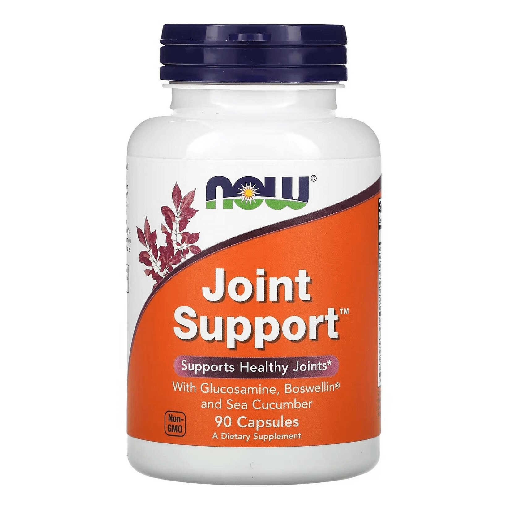 Joint Support NOW (90 кап)