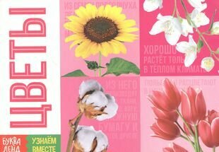 Обучающая книга Цветы - фото №5