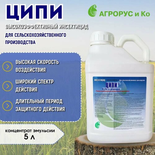 Ципи, КЭ инсектицид для борьбы с широким спектром вредителей, 5 л