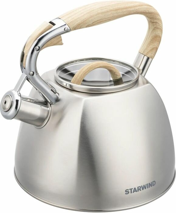 Чайник металлический Starwind Chef Daily SW-CH1308, 2,8 л, серый