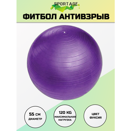 фото Мяч гимнастический sportage 55 см 600гр, фиолетовый