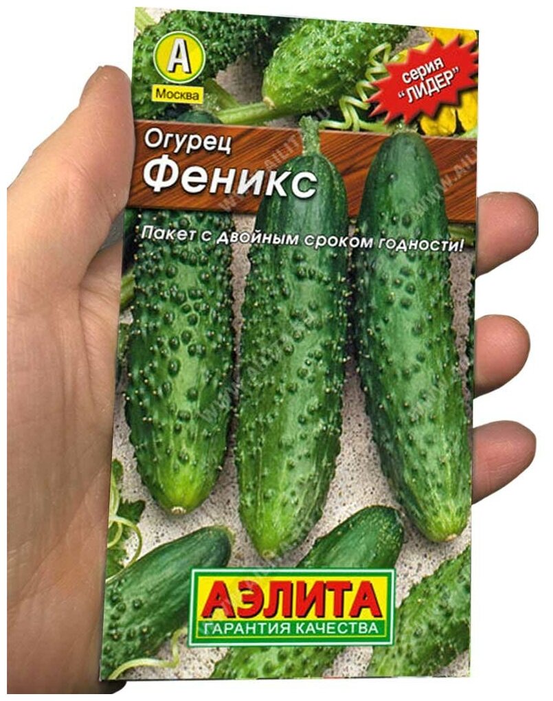 Офеникс