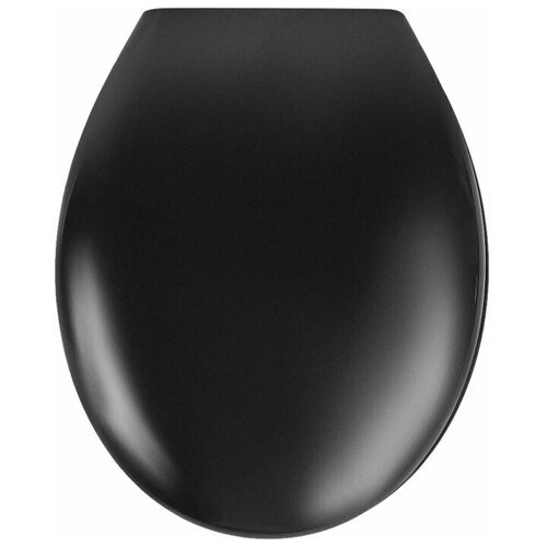 фото Сиденье для унитаза sensea essential цвет чёрный
