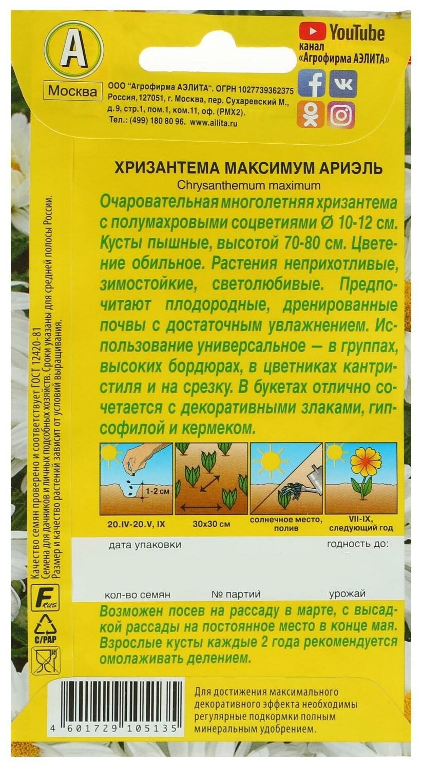 Семена цветов Аэлита хризантема Ариэль - фото №5