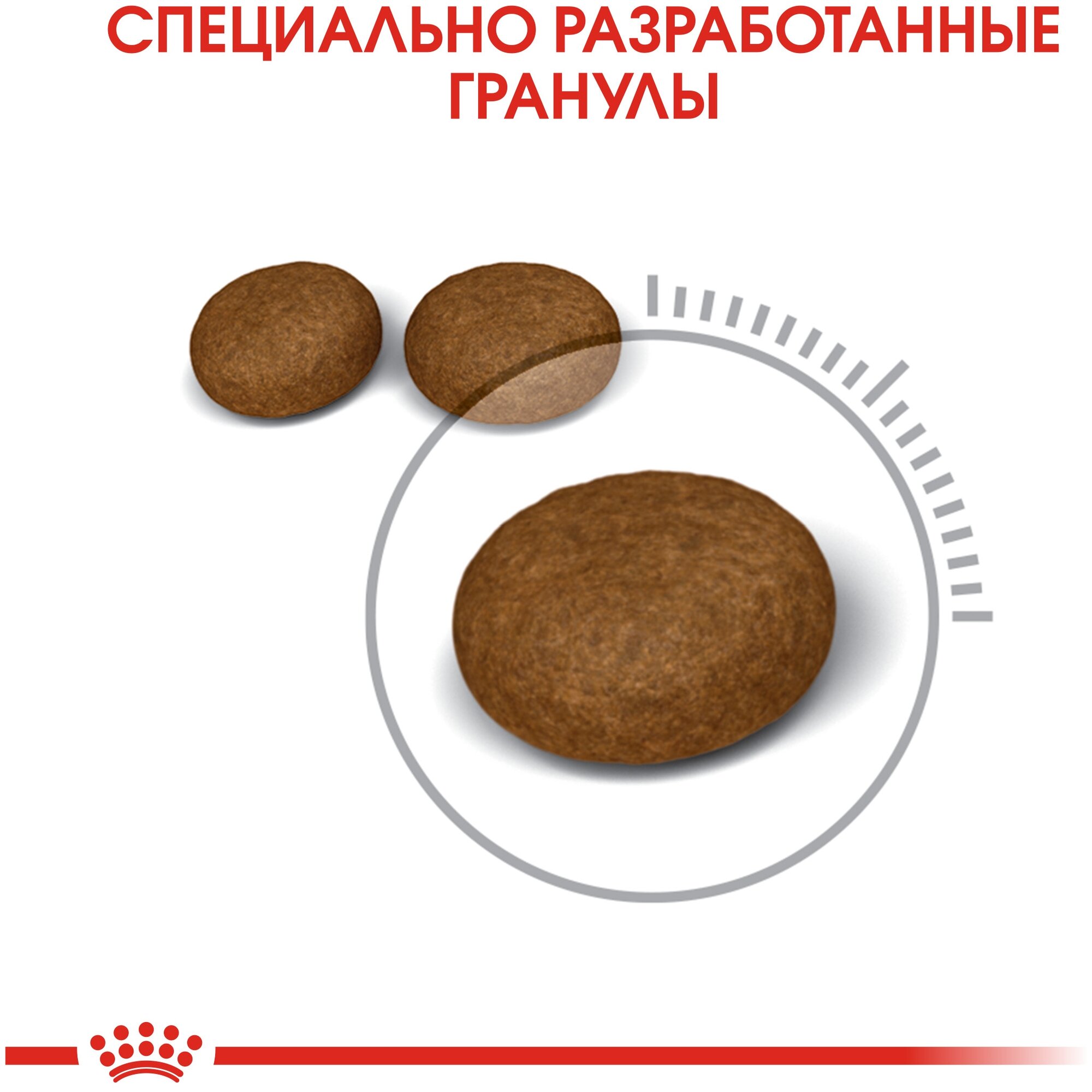 ROYAL CANIN Hair&Skin Care Сухой корм д/кошек Здоровая кожа и Шерсть - фотография № 5