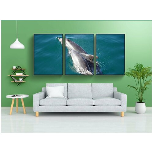 фото Набор модулных постеров для интерьера "дельфины, зубчатый кит, морские млекопитающие" 60x90 см. в тубусе, без рамки lotsprints