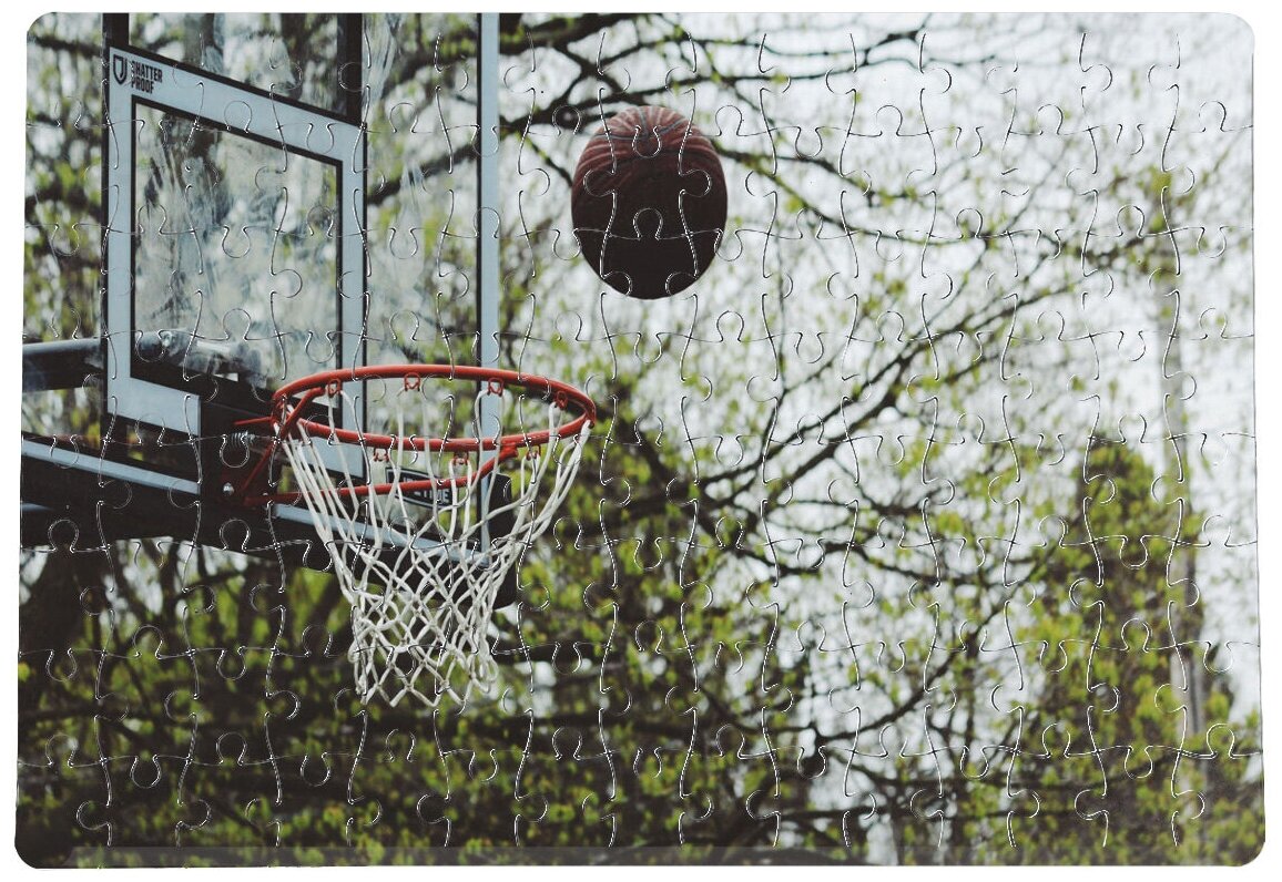 Пазлы CoolPodarok Баскетбол Баскетбольный мяч летит в сетку 20х29см 120 элемента
