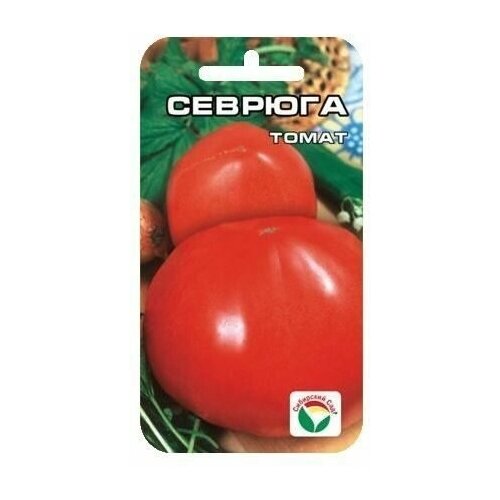 Севрюга 20шт томат (Сиб Сад)