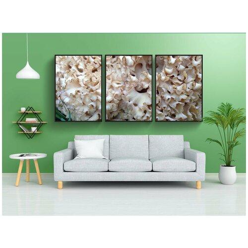 фото Набор модулных постеров для интерьера "цветная капуста грибы, гриб, лес" 60x90 см. в тубусе, без рамки lotsprints