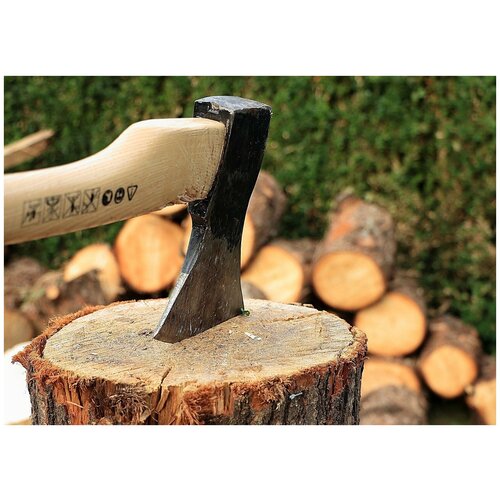 Чурка сосны диаметр 30 см длина 65см для хозяйства с Алтая 1 шт