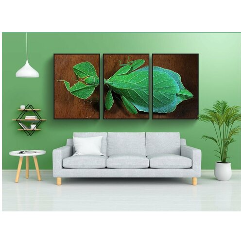 фото Набор модулных постеров для интерьера "таракан ходьба, зеленый, маленькое животное" 60x90 см. в тубусе, без рамки lotsprints