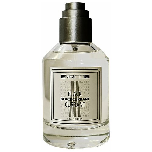 Парфюмерная вода женская Enrico Gi Black Currant 100мл