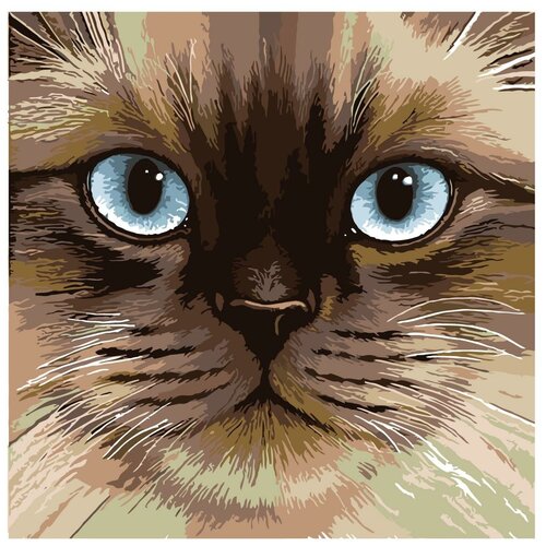 Картина по номерам, Живопись по номерам, 60 x 60, A384, кошка, голубые глаза, животные, домашний, порода, портрет картина по номерам живопись по номерам 60 x 75 a500 кошка животные интерес зелёные глаза домашний иллюстрация