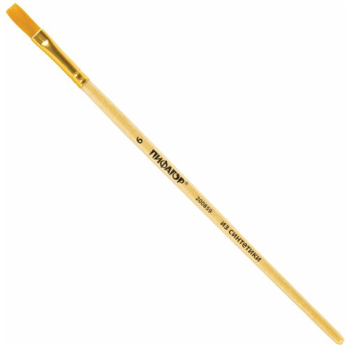 Кисть пифагор, синтетика, плоская, № 6, деревянная лакированная ручка, с колпачком, пакет с подвесом, 200859