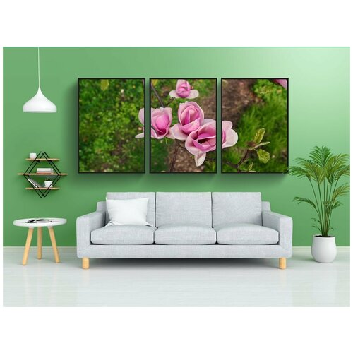 фото Набор модулных постеров для интерьера "магнолия, цветок, магнолии" 60x90 см. в тубусе, без рамки lotsprints