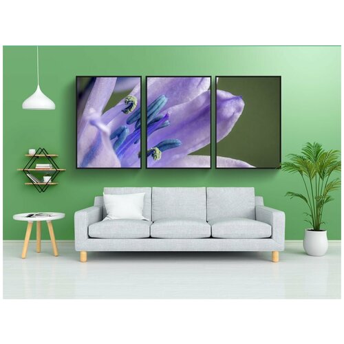 фото Набор модулных постеров для интерьера "колокольчик, испанский язык, полевой цветок" 60x90 см. в тубусе, без рамки lotsprints