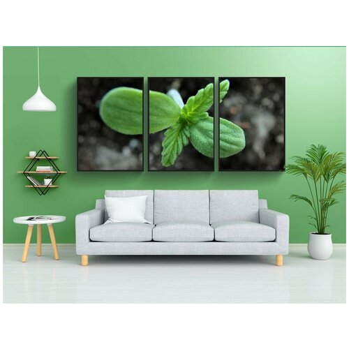 фото Набор модулных постеров для интерьера "флора, лист, пачкаться" 60x90 см. в тубусе, без рамки lotsprints