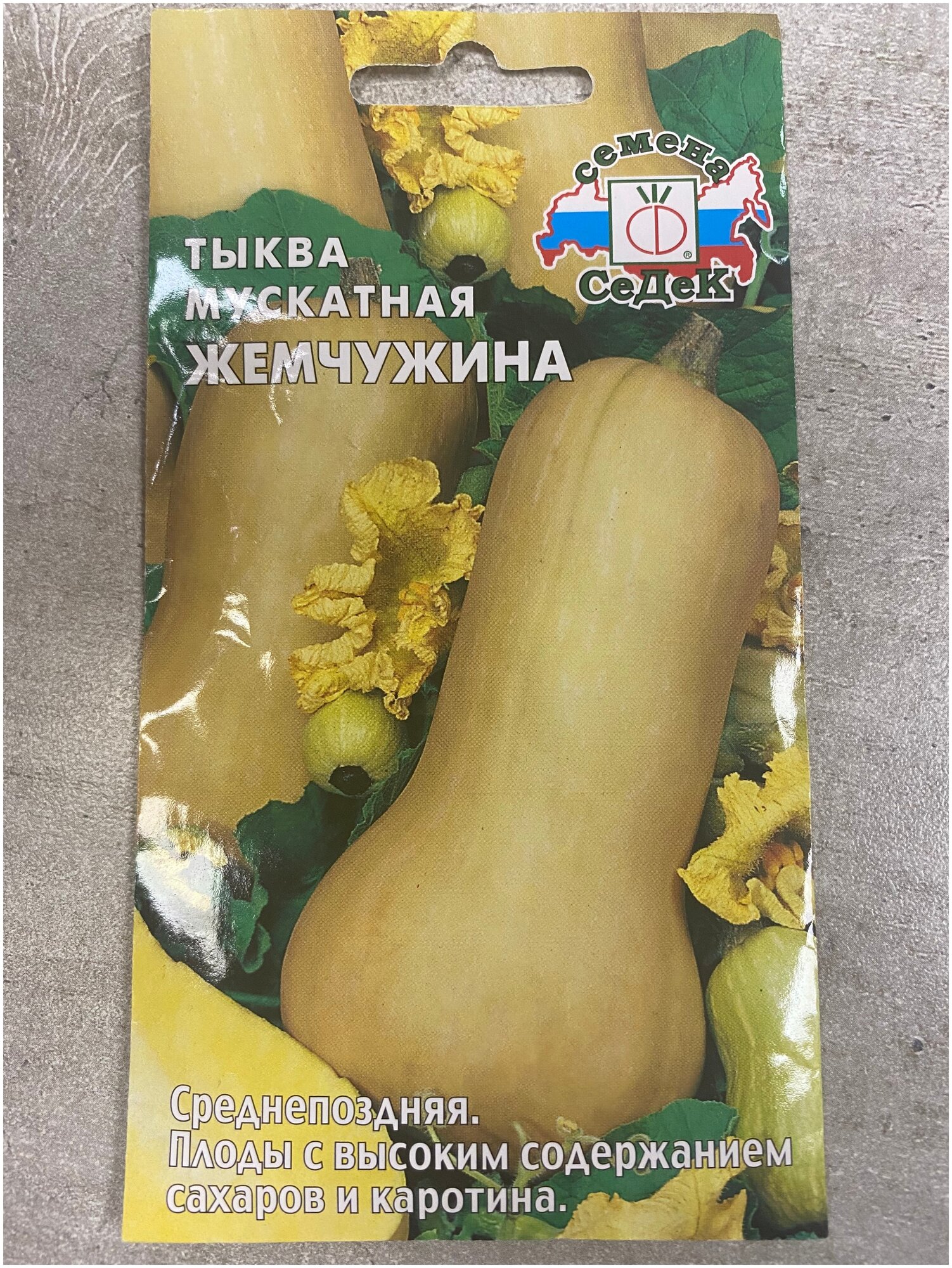 Тыква мускатная жемчужина