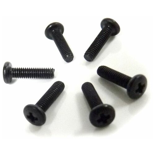 Винт M2,5x10 под крестовую отвёртку 6шт.