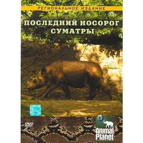 Discovery. Последний носорог Суматры. Региональная версия DVD-video (DVD-box) discovery лучшее на планете необычные встречи в дикой природе региональная версия dvd video dvd box