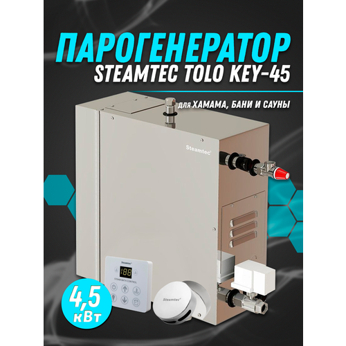 Парогенератор для хамама и турецкой бани Steamtec TOLO-45-KEY 45 кВт 6980000₽