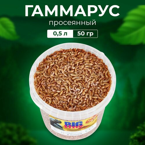 Корм для черепах Big Tiny, высушенный гаммарус, аквариумных рыбок и для всех видов грызунов, 50г/500мл