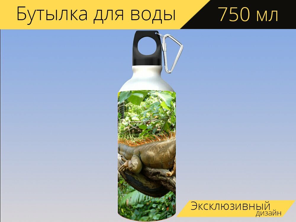 Бутылка фляга для воды "Ящерица, игуана, рептилия" 750 мл. с карабином и принтом