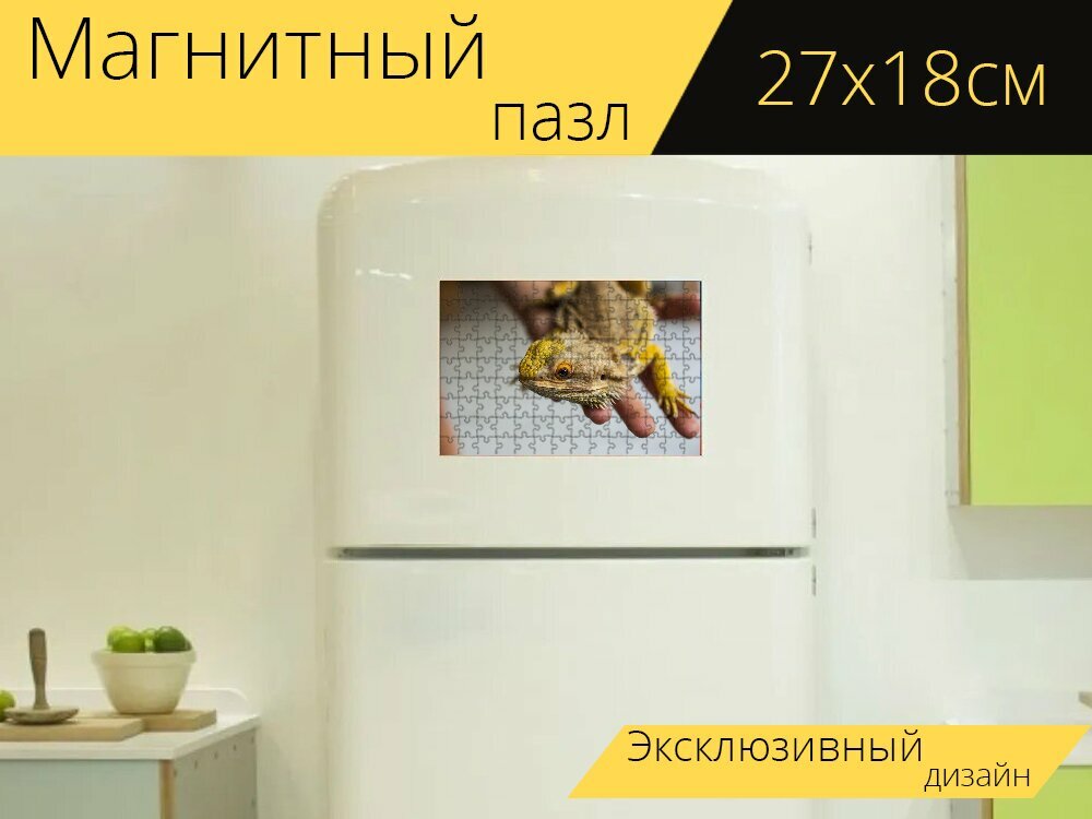 Магнитный пазл "Бородатая агама, агама, бородач" на холодильник 27 x 18 см.