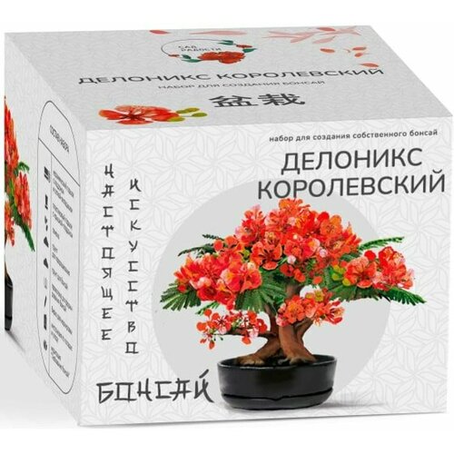 Набор для создания бонсай Сад Радости Делоникс королевский sr-007