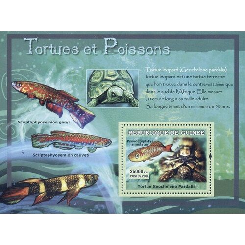 Почтовые марки Гвинея 2007г. Рыбы и черепахи Морские черепахи, Рыбы, Морская фауна MNH
