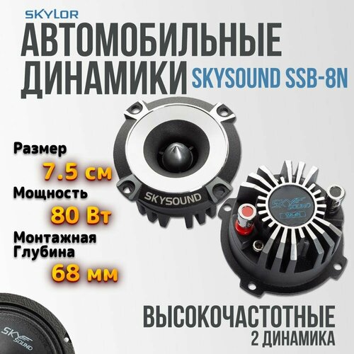 Автомобильная акустика SKYSOUND BERKUT SSB-8N(2шт)