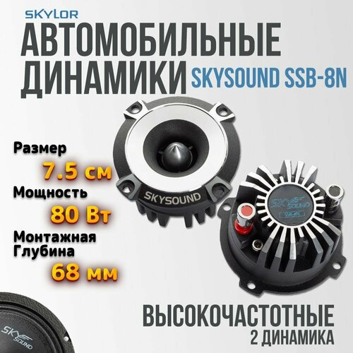 Автомобильная акустика SKYSOUND BERKUT SSB-8N2шт 315000₽