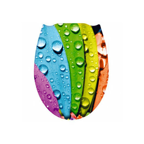 Сиденье для унитаза фотопринт лепестки 133 899₽