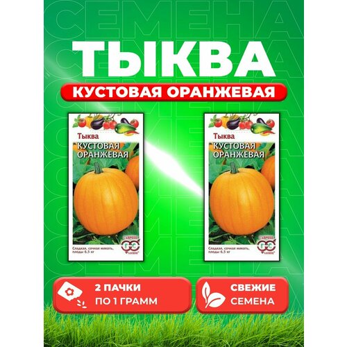 Тыква Кустовая оранжевая 1,0 г (2уп) семена тыква кустовая оранжевая 2 г