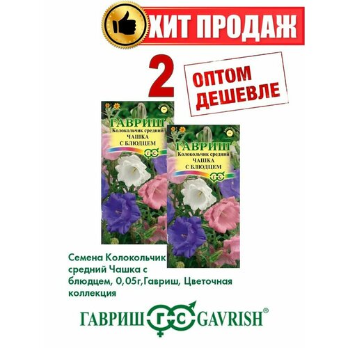 Колокольчик средний Чашка с блюдцем, 0,05г, Гавриш(2уп) семена цветов колокольчик средний чашка с блюдцем смесь 0 1 г 3 шт