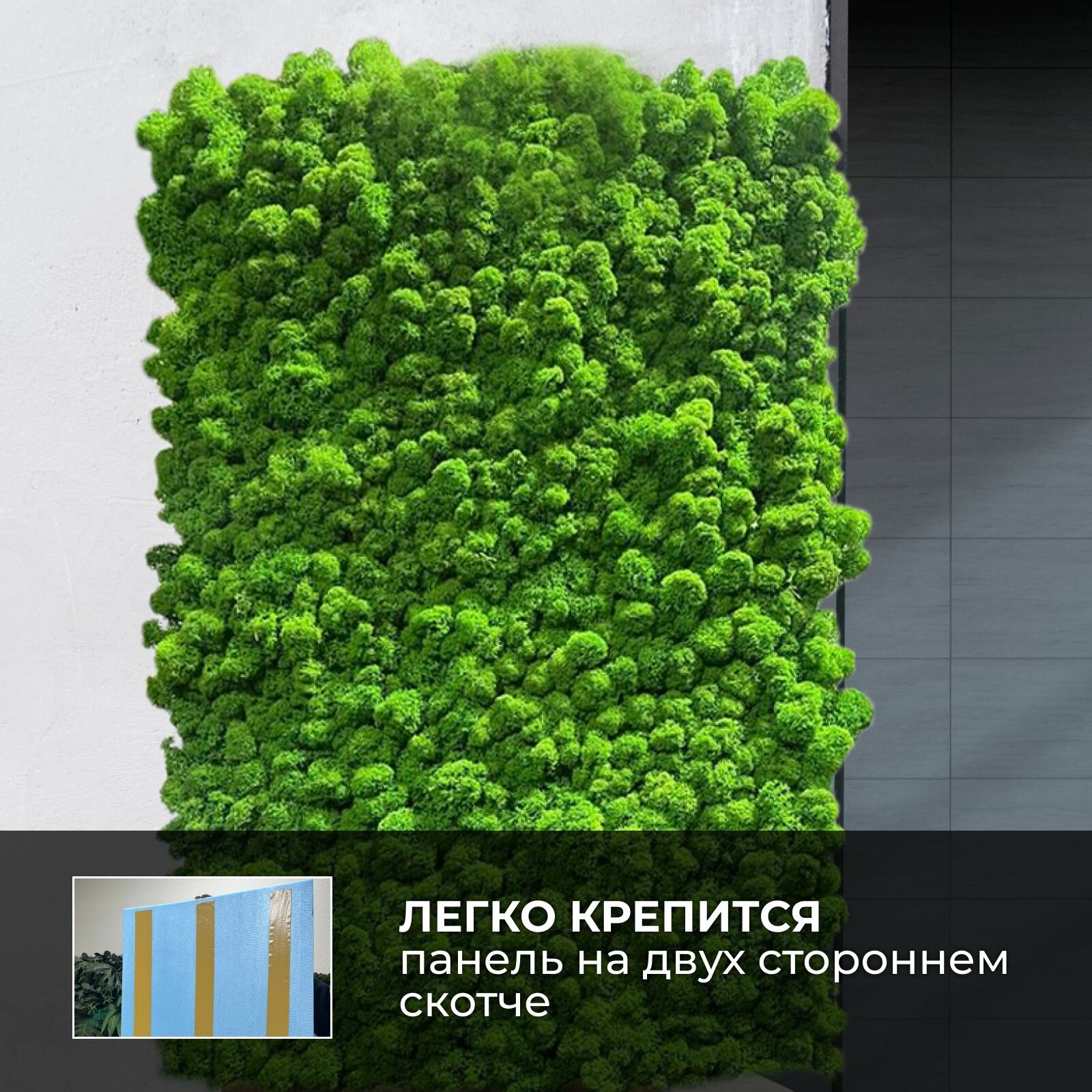 Greenery Moss / Панель из мха Ягель №8 49х84 см для декора и украшения стен — фото 1