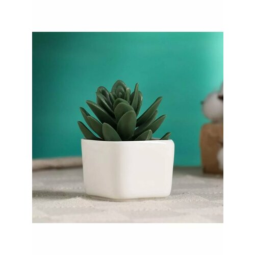 Горшок Эко 5х4см 561₽