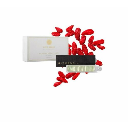 Ароматизатор для автомобиля с 2 сменными блоками Rituals Goji Berry с ароматом плодов годжи и грейпфрутом 4700₽