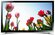 Samsung UE22H5600AK