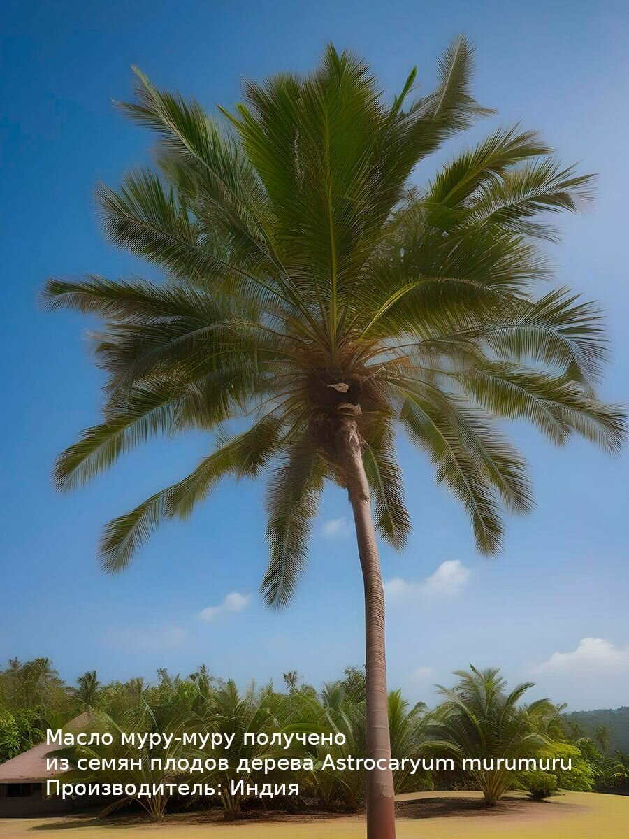 Масло муру-муру 15 мл WIPLUS — фото 1