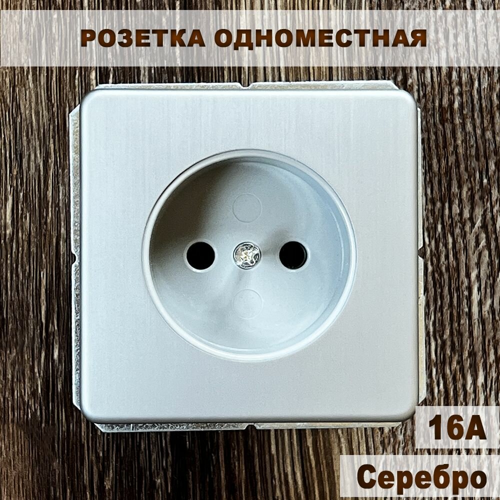 Розетка встраиваемая без заземления, серебро (315801)